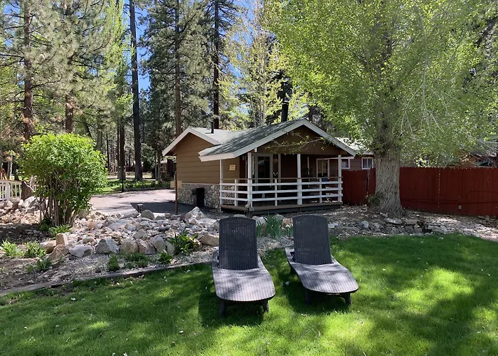 Grey Squirrel Resort